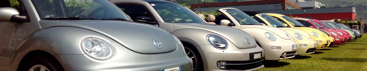 Il Maggiolone New Beetle di Flavio